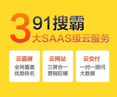 九一搜霸 專注網絡推廣與互聯網信息咨詢的專業服務商